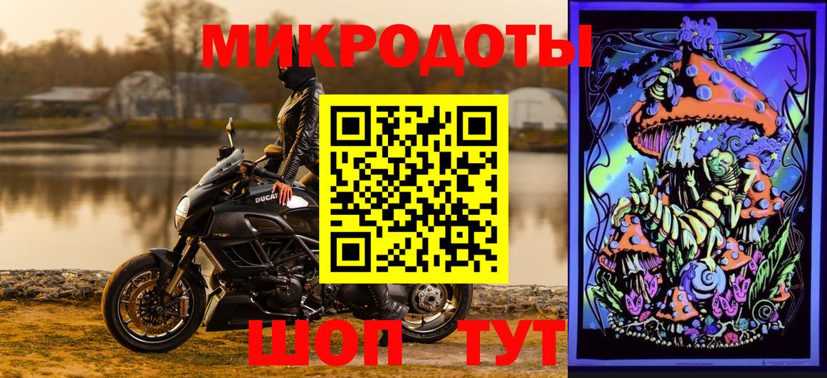 Псилоцибиновые грибы Cubensis Екатеринбург