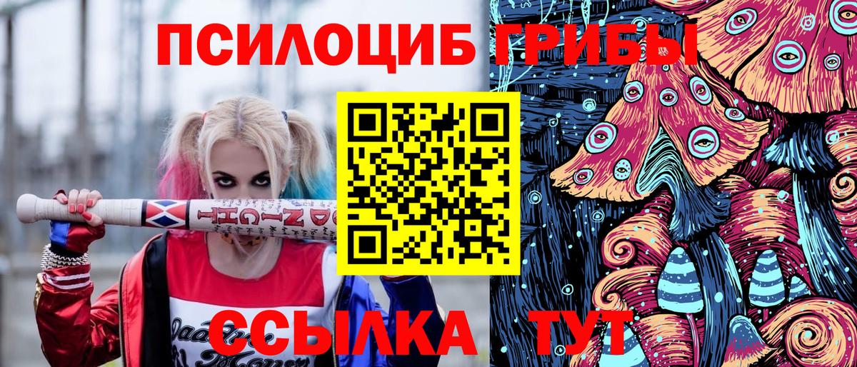 Псилоцибиновые грибы Psilocybine cubensis  Вход с VPN  Екатеринбург  Псилоцибиновые грибы Psilocybine cubensis 